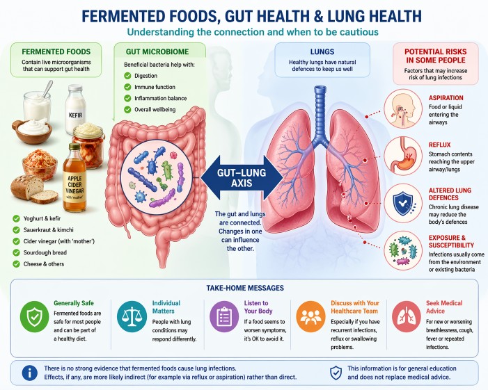 Fermented foods gut lung axis diagram showing microbiome, lungs, reflux and aspiration risks in chronic lung disease