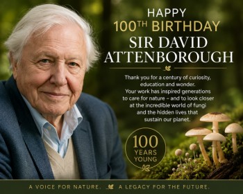 Sir David Attenborough 100th birthday tribute celebrating his contribution to nature documentaries and awareness of fungi and the natural world