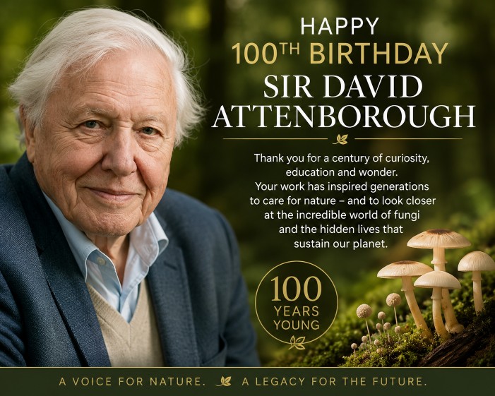 Sir David Attenborough 100th birthday tribute celebrating his contribution to nature documentaries and awareness of fungi and the natural world