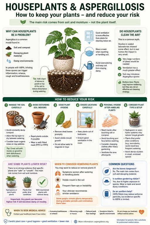 Houseplants and aspergillosis risk showing how soil and moisture can expose people with ABPA to Aspergillus spores and how to reduce risk