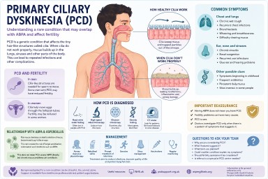 Medical infographic explaining Primary Ciliary Dyskinesia (PCD), symptoms, mucus clearance problems, fertility effects, diagnosis and possible links with ABPA and bronchiectasis.