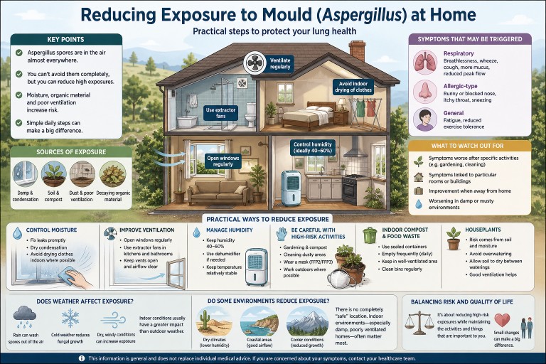 Infographic showing how to reduce Aspergillus mould exposure at home including ventilation, humidity control, cleaning, and common sources like damp, compost, and houseplants