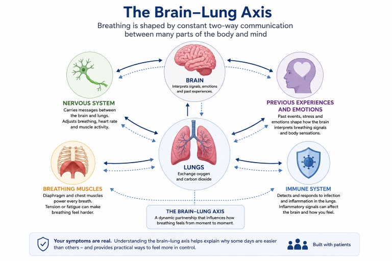 Illustration showing the brain, lungs and nervous system communicating, explaining how breathing symptoms in aspergillosis can be influenced by physical, neurological and emotional factors.