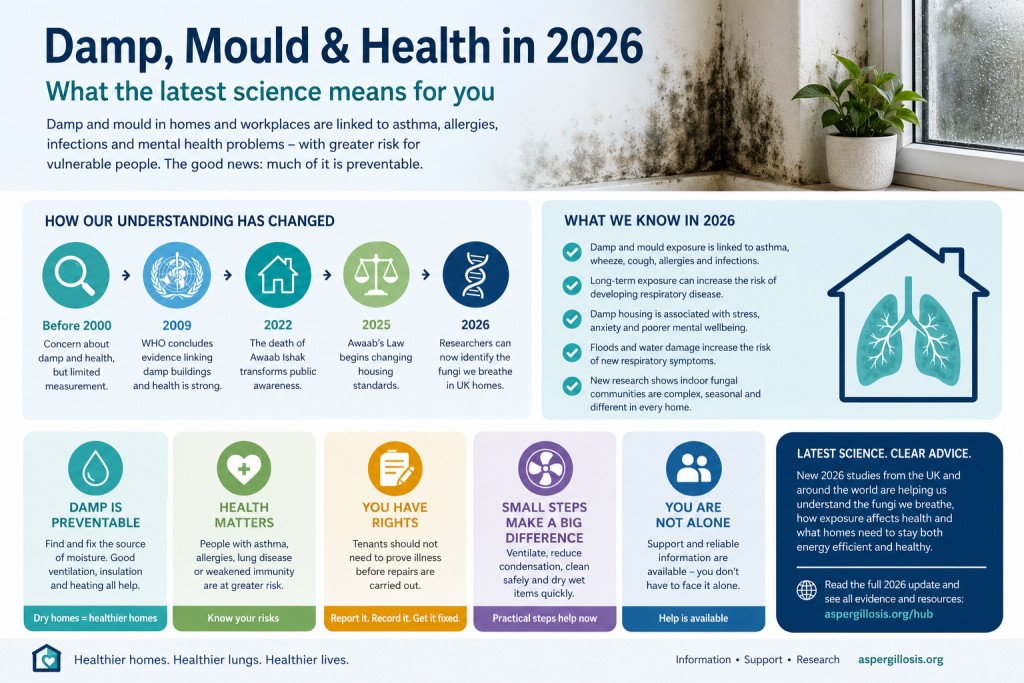 Infographic summarising 2026 evidence on damp, mould and health, including respiratory risks, mental health effects, vulnerable groups and practical steps for people living in damp homes.