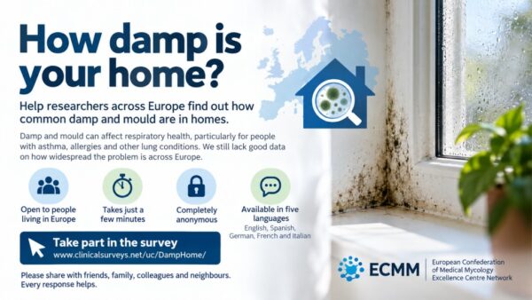 European Damp Home Survey inviting people to report damp and mould in their homes for research