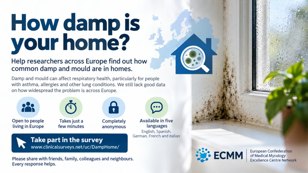 European Damp Home Survey inviting people to report damp and mould in their homes for research